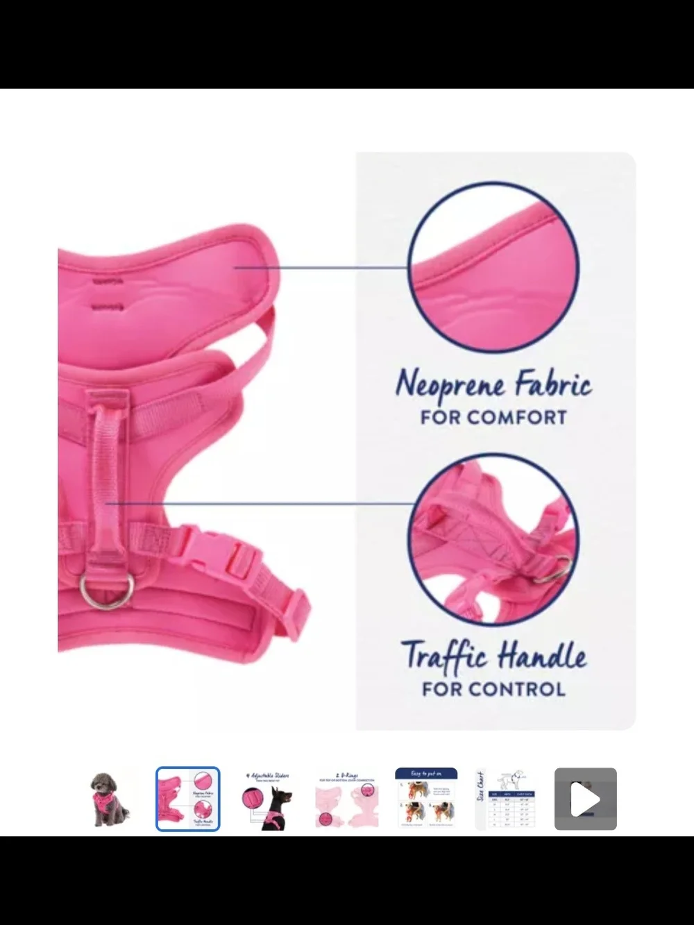 Top Paw durable no